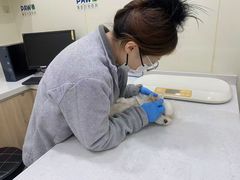 -佩兹宠物医院肿瘤专科·眼科·牙科(黄浦店)