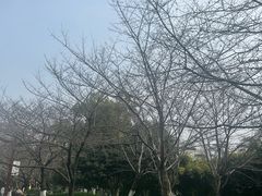 -堤角公园