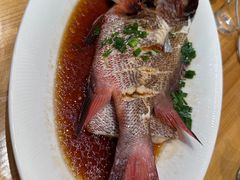 -舌尖上·霞浦滩涂海鲜·新闽菜(总店)