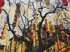 -磁器口古镇