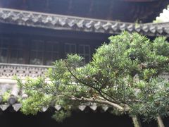 -天一阁博物院