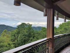 -雁南飞茶田景区