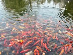 -常州花鸟园酒店(西太湖品牌优选店)