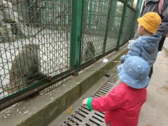 -宿豫区运河湾森林动物园