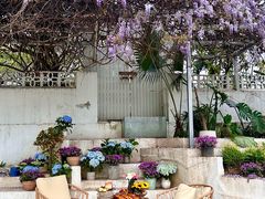 -柠檬花院烤肉·围炉煮茶·草坪团建·生日派对(三圣乡店)