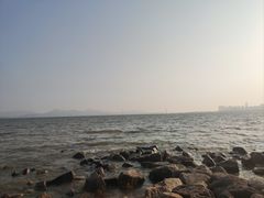 -福田红树林生态公园