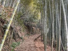 -莫干山风景区