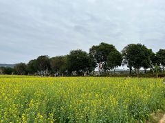 -光明小镇欢乐田园