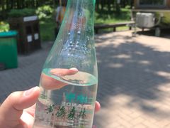 -黄海国家森林公园