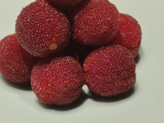 -阿纳迪酒店·悦餐厅