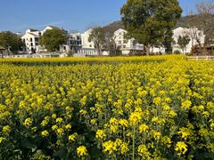 -楠溪江风景名胜区