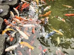 -广州花园酒店