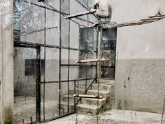 -昆明动物园