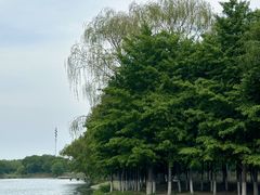 -长白岛森林公园