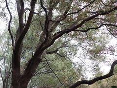 -同里国家湿地公园