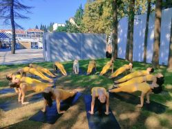 -中国瑜伽联盟瑜伽普拉提