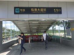 -上海鲜花港