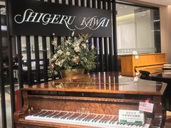 -柏斯音乐艺术中心·钢琴·吉他(上音店)