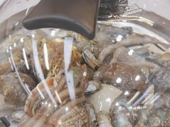 -仙螺岛海鲜自助餐厅(总店)
