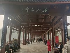 -重庆彩云湖湿地公园