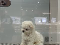-CGV影城(壹方城IMAX店)