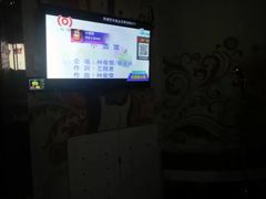 -金青果甄选KTV(劳动公园店)