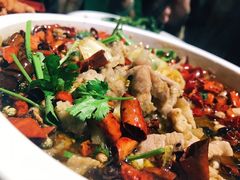 -佶政筋饼·新概念(安阳路店)