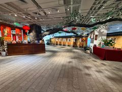 -大视光学•LINDBERG林德伯格•全球手工眼镜集合店(王府井店)