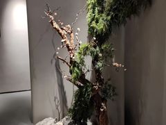 -唔呶喔哩酒家(生产街店)