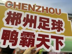 -郴州特产舜华临武鸭(郴州西站店)