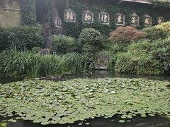 -中国茶叶博物馆(双峰馆区)