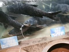 -上名堂·鱼头好吃(体育场路店)