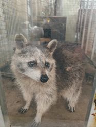 -萌宠亲子动物乐园(槐房万达店)