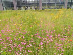 -青岛银沙滩温德姆至尊酒店