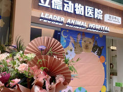 -立德24H动物医院·夜诊·转诊中心·1.5T核磁共振(海珠店)