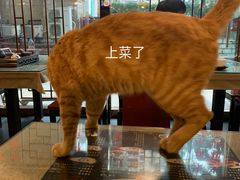 -台湾小竹(华宇广场店)