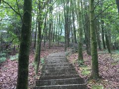 -广州市帽峰山景区