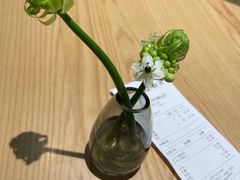 -gaga(深圳福田星河COCO Park店)
