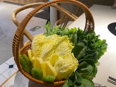 -东椰·海南椰子鸡火锅(朝阳门店)