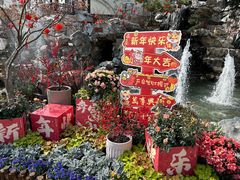 -七宝古镇