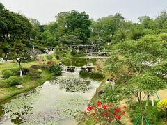 -东莞植物园