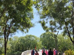 -大兴滨河森林公园