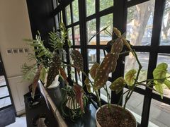 -一尺花园(安和花园店)