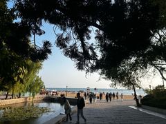 -青岛第二海水浴场