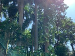 -深圳海景嘉途酒店(东翼楼)