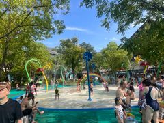 -苏州乐园森林水世界