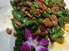 -天山传奇新疆菜(SKLP店)