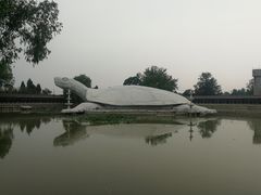 -东方巨龟苑景区