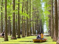 -渌洋湖湿地公园