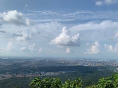-紫金山山顶公园